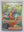 Pokemon - Arven *Special Illustration Rare* Scarlet & Violet 249/198