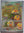 Pokemon - Dottler *Illustration Rare* Paradox Rift 184/182