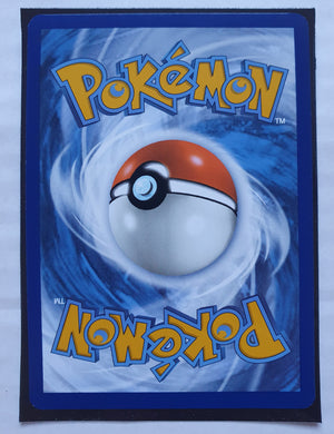 Pokemon - Phanpy *Illustration Rare* Surging Sparks 205/191