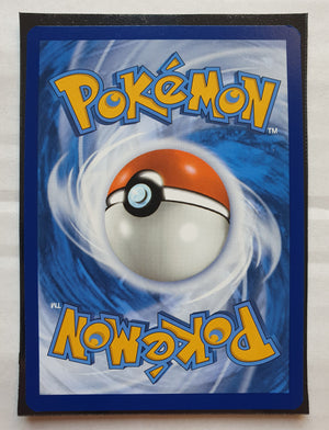 Pokemon - Chatot *Illustration Rare* Temporal Forces 181/162