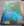 Pokemon - Spidops ex *Special Illustration Rare* Scarlet & Violet 243/198