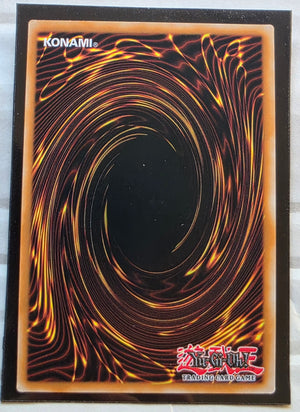 Yugioh - Infinity of the Sacred Beasts - Raviel, Lord of Phantasms *Starlight Rare* CORI-EN007 (NM)