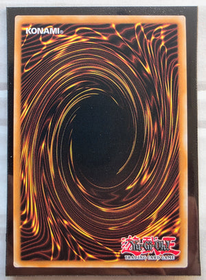 Yugioh - Skull Archfiend of Chaos *Starlight Rare* CORI-EN002 (NM)
