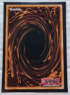 Yugioh - Wake Up Your Elemental HERO [Extended Art] *Ultra Rare* RA05-EN142 (NM)