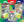 Pokémon - Enhanced 2-Pack Blister 2026 (Oddish, Gloom & Vileplume)