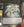Yugioh - Number S39: Utopia the Lightning *Ultimate Rare* OP04-EN001 (NM)